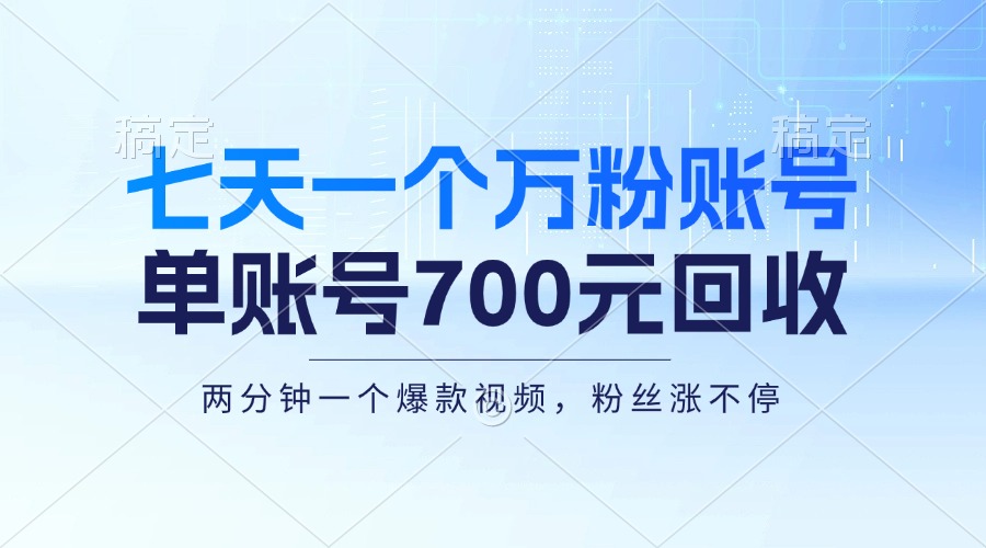 图片[1]-（13062期）七天一个万粉账号，新手小白秒上手，单账号回收700元，轻松月入三万＋-咩咩网络