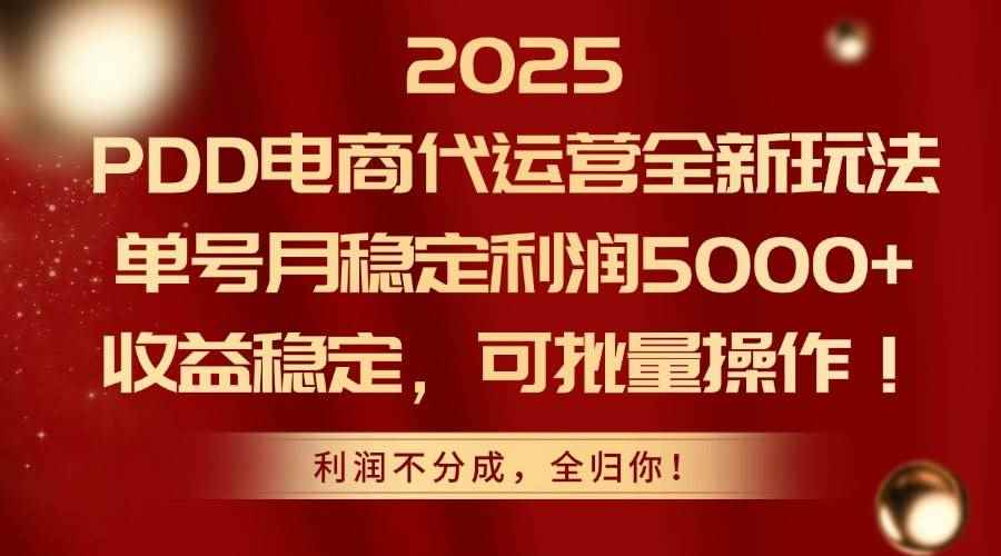 （14839期）2025PDD电商代运营全新玩法，单号月稳定利润5000+，收益稳定，可批量操作-咩咩网络