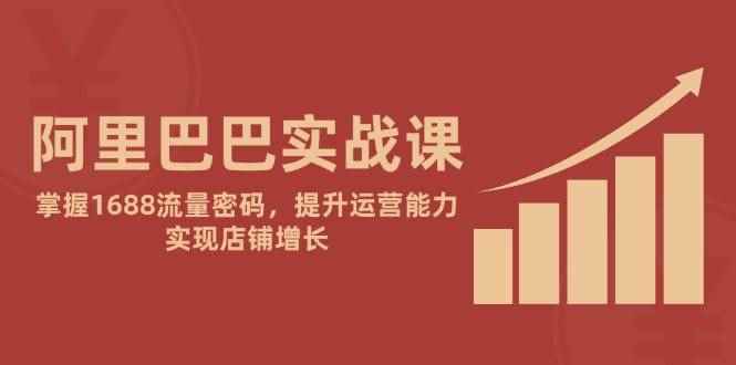 （14830期）阿里巴巴实战课：掌握1688流量密码，提升运营能力，实现店铺增长-咩咩网络