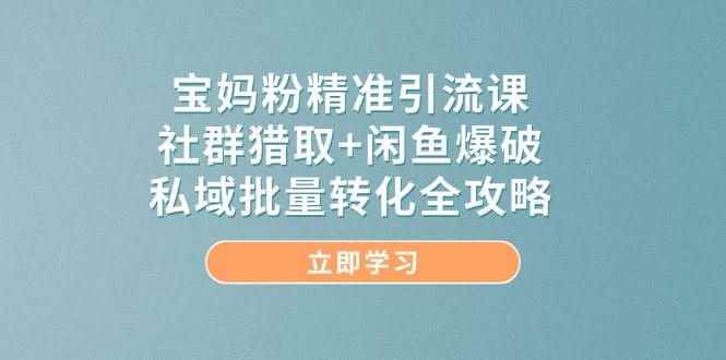 （14820期）宝妈粉精准引流课，社群猎取+闲鱼爆破，私域批量转化全攻略-咩咩网络