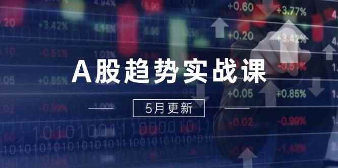 （14808期）A股趋势实战课：主力动向+政策红利，2025全年策略5月更新-咩咩网络