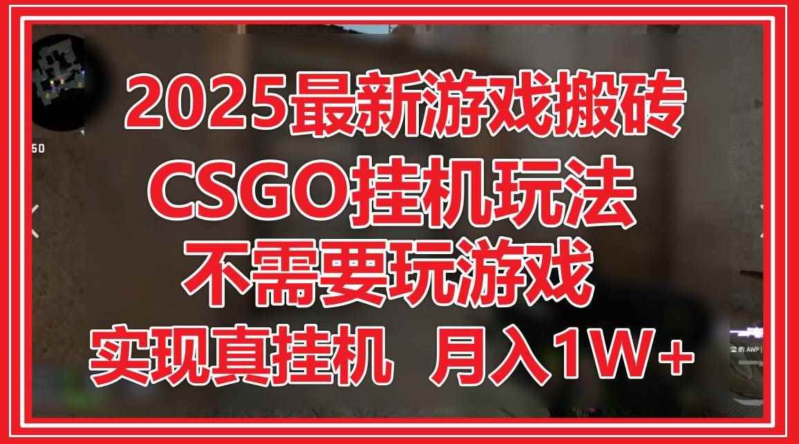（14743期）2025最新游戏搬砖，CSGO挂机，不需要玩游戏，实现真挂机，月入1W+-咩咩网络