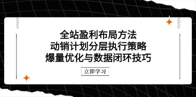 （14698期）全站盈利布局方法：动销计划分层执行策略，爆量优化与数据闭环技巧-咩咩网络