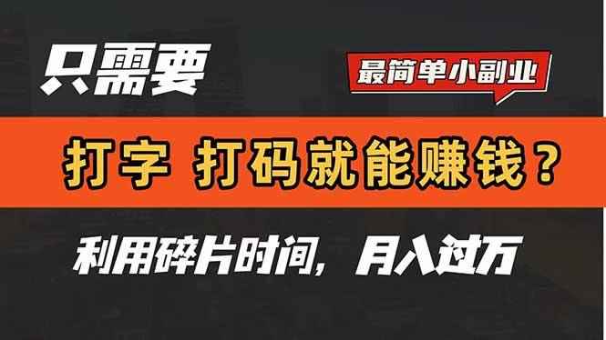 （14673期）只需要打字，打码，就能赚钱？简单的赚钱小副业，利用碎片时间，月入过万-咩咩网络