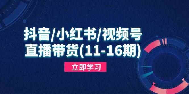 （14611期）抖音/小红书/视频号/直播带货(11-16期)，快速掌握平台规则，打造爆款内容-咩咩网络