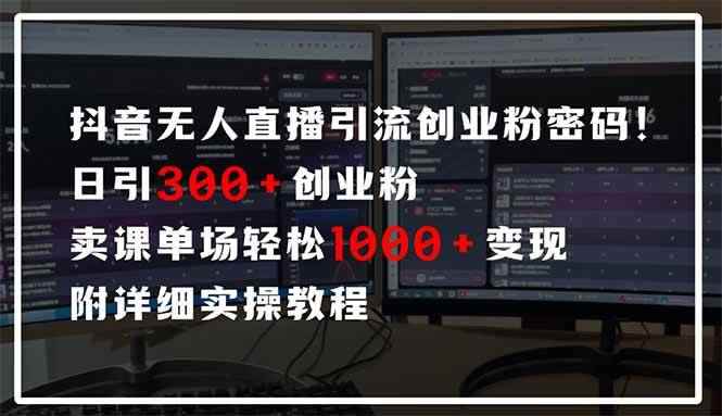 （14564期）抖音无人直播引流密码！日引300+创业粉 单场轻松1000+变现 附详细实操教程-咩咩网络