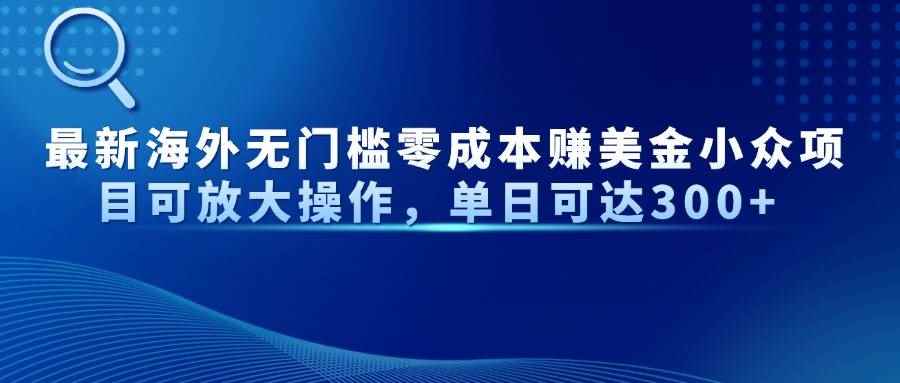 （14542期）最新海外无门槛零成本赚美金小众项目可放大操作，单日可达300+-咩咩网络