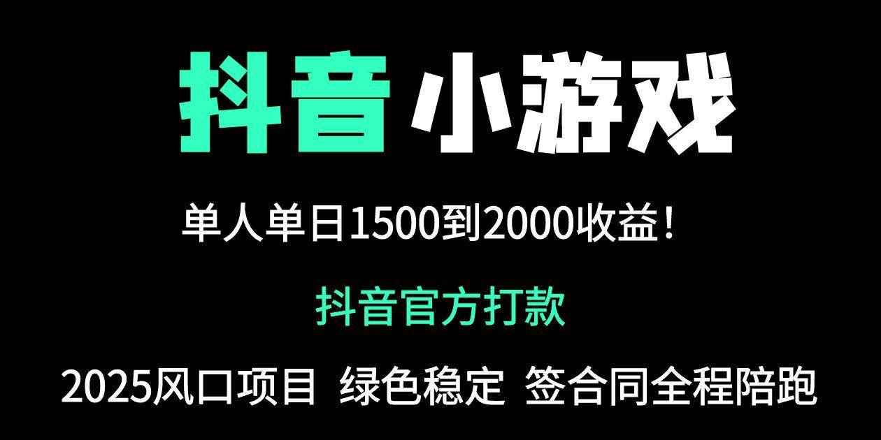 （14527期）抖音官方小游戏2025全网最新玩法，暴利赚钱项目，单机日入2000+，绝不…-咩咩网络