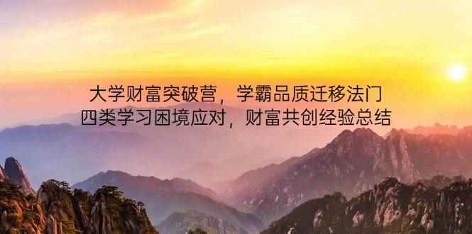 （14484期）大学财富突破营，学霸品质迁移法门，四类学习困境应对，财富共创经验总结-咩咩网络