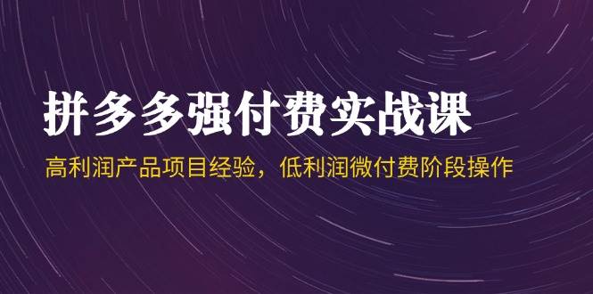 （14874期）拼多多强付费实战课-44期，高利润产品项目经验，低利润微付费阶段操作-咩咩网络