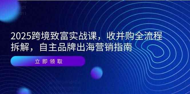 （14975期）2025跨境致富实战课，收并购全流程拆解，自主品牌出海营销指南-咩咩网络
