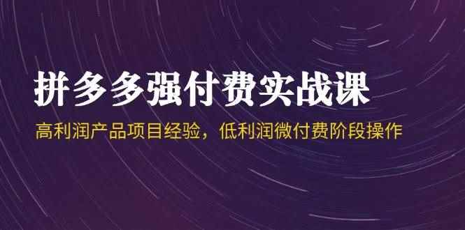 （14874期）拼多多强付费实战课-44期，高利润产品项目经验，低利润微付费阶段操作-咩咩网络