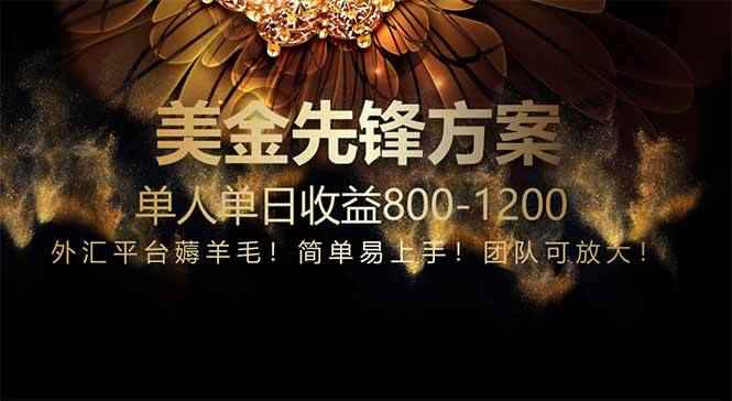 （14761期）免费技术！小众赛道！一年布局抵三年努力，每日800+-咩咩网络