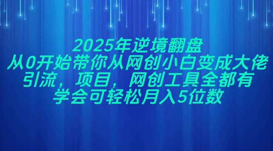 （14473期）2025年逆境翻盘，从0开始带你从网创小白变成大佬，引流，项目，网创工…-咩咩网络