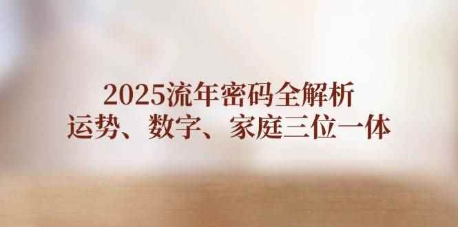 （14466期）2025流年密码全解析，运势、数字、家庭三位一体-咩咩网络