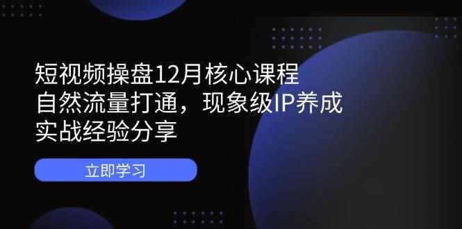（14447期）短视频操盘12月核心课程：自然流量打通，现象级IP养成，实战经验分享-咩咩网络