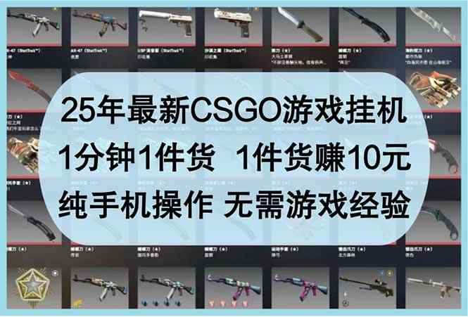 （14439期）25年最新CSGO游戏挂机，1分钟1件货，1件货赚10元 纯手机操作 无需游戏经验-咩咩网络