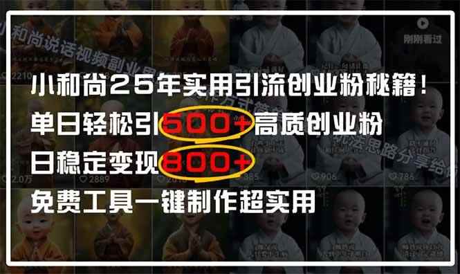 （14436期）小和尚2025年实用引流秘籍！单日轻松引500+高质量创业粉，日变现800+，…-咩咩网络