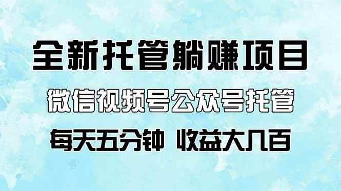 （14425期）全新托管躺赚项目，微信视频号公众号托管代运营，每天五分钟，收益大几百-咩咩网络