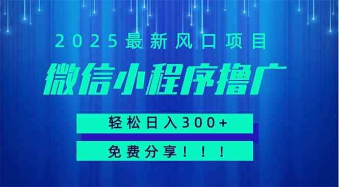 （14375期）微信小程序撸广，最新风口项目，日入300+ 免费分享 可批量操作 小白可…-咩咩网络