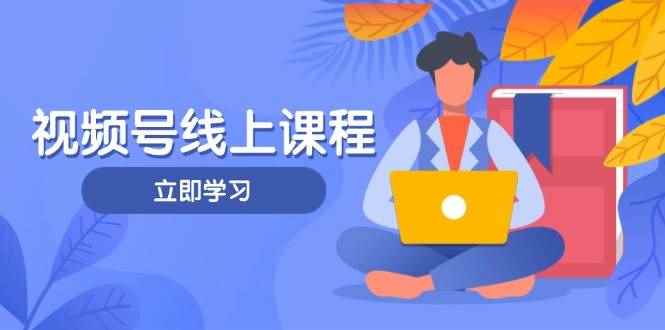 （14360期）视频号实战课程，轻IP打造与运营技巧，掌握核心方法与策略-咩咩网络