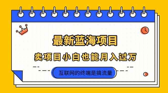 （14289期）2025年最新蓝海项目，卖项目小白也能月入过万-咩咩网络