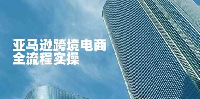 （14252期）亚马逊跨境电商全流程实操，教你从零开始，掌握店铺运营与广告技巧-咩咩网络