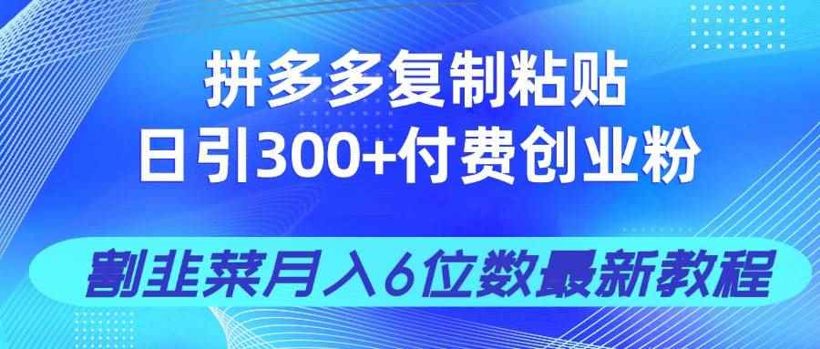 （14232期）拼多多复制粘贴日引300+付费创业粉，割韭菜月入6位数最新教程！-咩咩网络