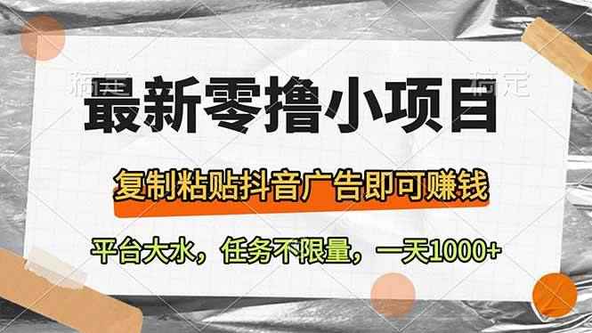 （14230期）最新零撸小项目，复制粘贴抖音广告即可赚钱，平台大水，任务不限量，一…-咩咩网络