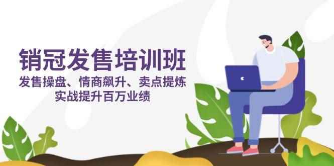 （14203期）销冠 发售培训班：发售 操盘+情商 飙升+卖点 提炼，实战提升百万业绩-咩咩网络