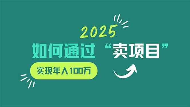 （14176期）2025年如何通过“卖项目”实现年入100万-咩咩网络