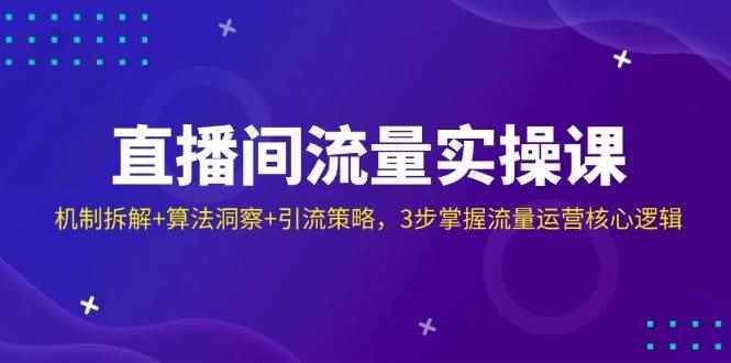 （14122期）直播间流量实操课：机制拆解+算法洞察+引流策略，3步掌握流量运营核心逻辑-咩咩网络