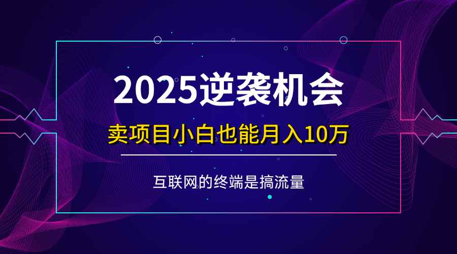 （14122期）项目标题：2025逆袭机会，卖项目小白也能轻松月入10万+-咩咩网络
