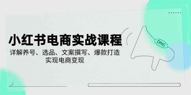 （14549期）小红书电商实战课程，详解养号、选品、文案撰写、爆款打造，实现电商变现-咩咩网络