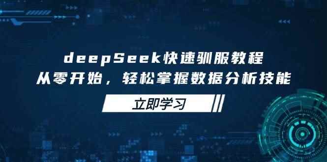 （14536期）deepSeek快速驯服教程，从零开始，轻松掌握数据分析技能-咩咩网络