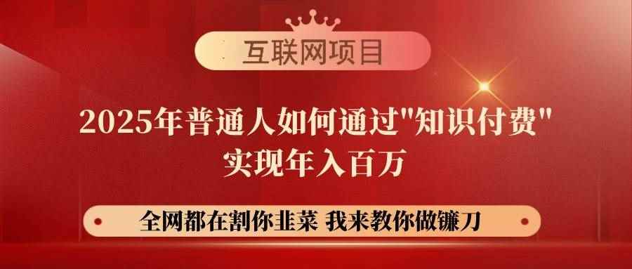 （14466期）【网创项目终点站-镰刀训练营超级IP合伙人】25年普通人如何通过“知识…-咩咩网络