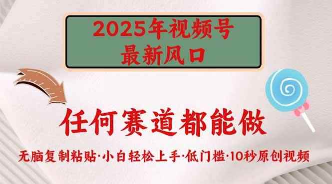 （14453期）2025年视频号新风口，低门槛只需要无脑执行-咩咩网络