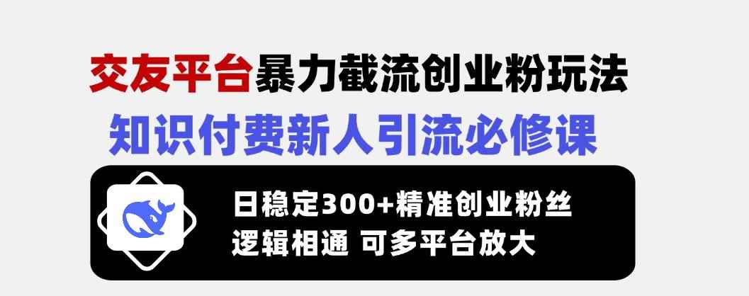 （14432期）交友平台暴力截流创业粉玩法，知识付费新人引流必修课，日稳定300+精准…-咩咩网络