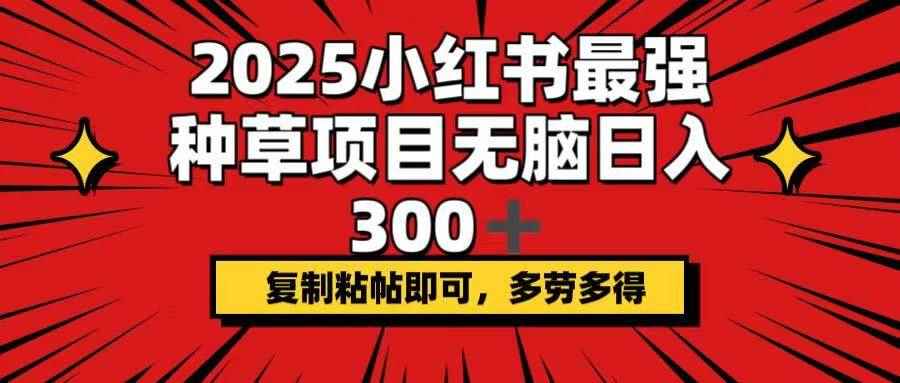（14375期）2025小红书最强种草项目，无脑日入300+，复制粘帖即可，多劳多得-咩咩网络