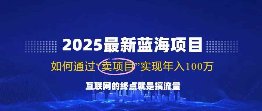 （14305期）2025最新蓝海项目，零门槛轻松复制，月入10万+，新手也能操作！-咩咩网络