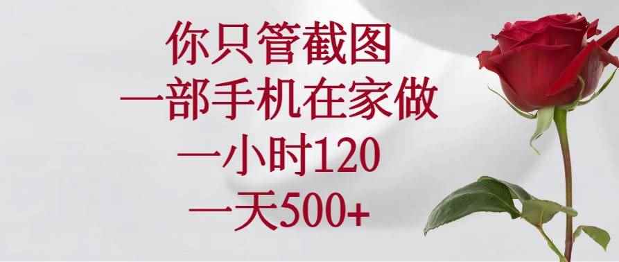 （14248期）你只管截图，一部手机在家做，一小时120，一天500+-咩咩网络