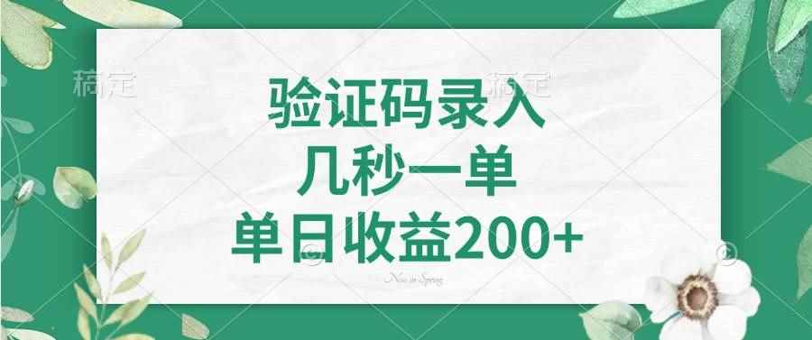 （14221期）验证码录入，几秒一单，单日收益200+-咩咩网络