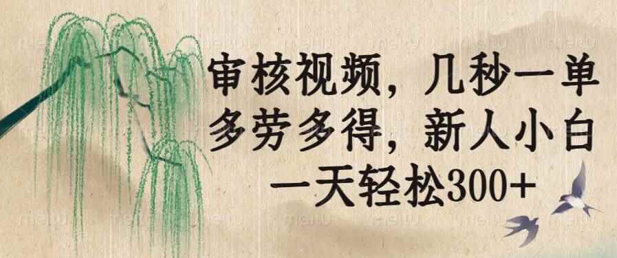（14202期）审核视频，几秒一单，多劳多得，新人小白一天轻松300+-咩咩网络