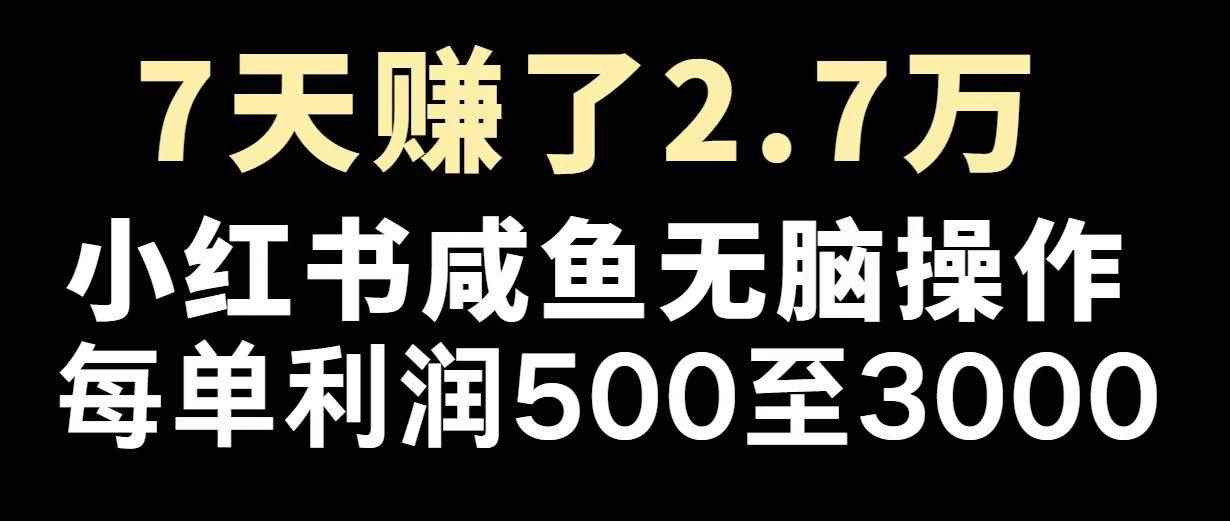 （14183期）最赚钱项目之一，2025爆火，逆风翻盘！-咩咩网络