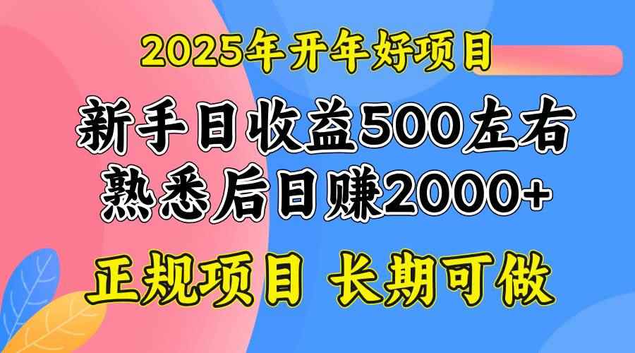 （14076期）2025开年好项目，单号日收益2000左右-咩咩网络