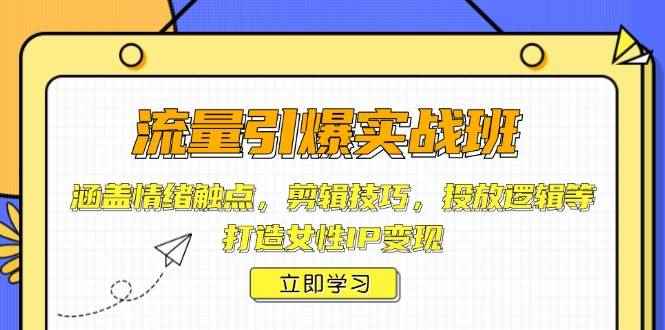 （14008期）流量引爆实战班，涵盖情绪触点，剪辑技巧，投放逻辑等，打造女性IP变现-咩咩网络