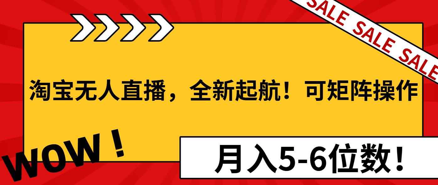 （13946期）淘宝无人直播，全新起航！可矩阵操作，月入5-6位数！-咩咩网络