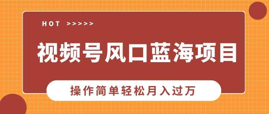 （13945期）视频号风口蓝海项目，中老年人的流量密码，操作简单轻松月入过万-咩咩网络