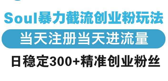 （13935期）Soul暴力截流创业粉玩法，当天注册当天进流量，日稳定300+精准创业粉丝-咩咩网络