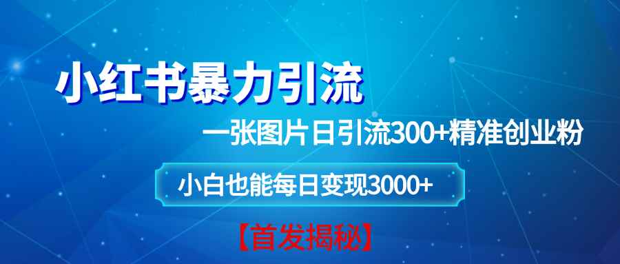 （13935期）小红书暴力引流法，一张图片日引 300+精准创业粉，每日稳定变现 3000+【揭秘】-咩咩网络